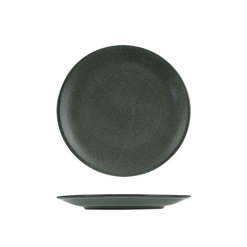 1223141 FOREST RND COUPE PLATE 260MM