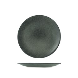 1223143 FOREST RND COUPE PLATE 285MM